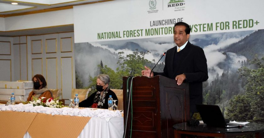 Country’s first forest monitoring system to stem forest loss launched