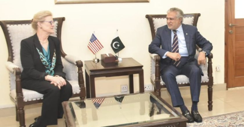 The US Ex-Ambassador Ms. Robin L. Raphel, called on Federal Minister for Finance and Revenue Senator Mohammad Ishaq Dar