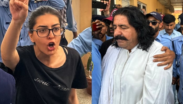 The anti-terrorism court of Islamabad handed over Shireen Mazari’s daughter Iman Mazari and Ali Wazir to the police on 3-day physical remand