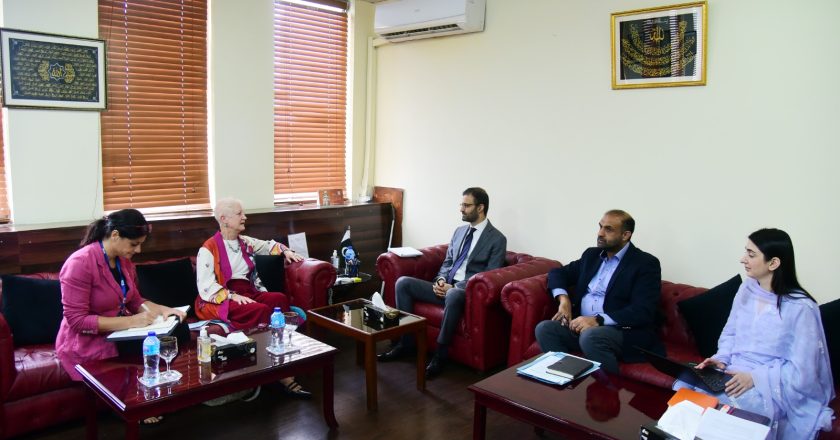 Ambassador European Union Dr. Riina Kionka called on Federal Minister for Law and Justice Ahmad Irfan Aslam