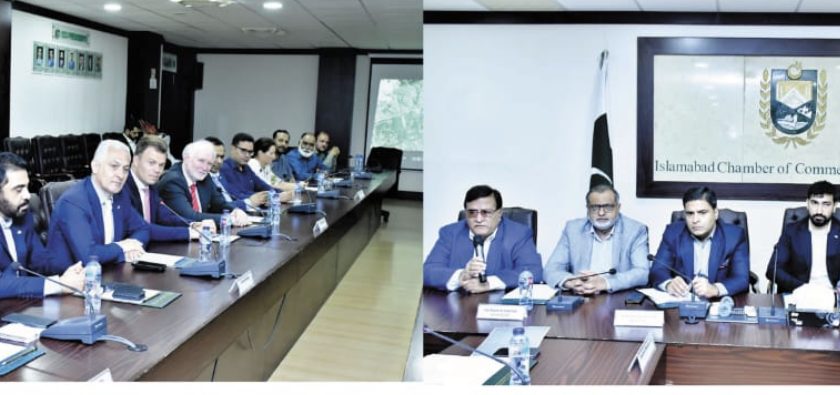 German companies want joint ventures and investment in Pakistan