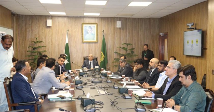 Planning Minister reviews progress on SEZs under CPEC