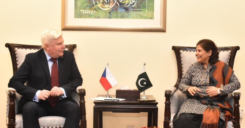 Ladislav Steinhübel, Ambassador of the Czech Republic to Pakistan called on Caretaker Federal Minister for Finance, Revenue, and Economic Affairs
