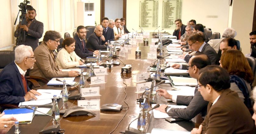 Federal Minister for Finance, Revenue, and Economic Affairs presided over a meeting of the (ECC)