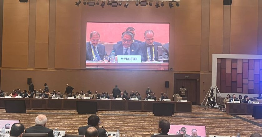 Foreign Minister Jalil Abbas Jilani attended the Ministerial meeting of the 19th NAM Summit in Kampala, Uganda