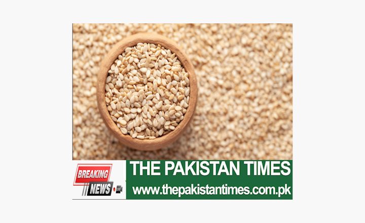 China will increase investment in the sesame growing project under the Pak-China contract