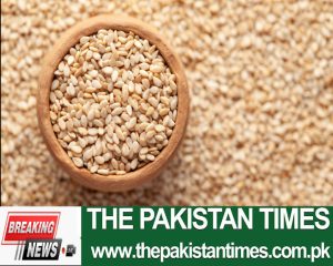 China will increase investment in the sesame growing project under the Pak-China contract and plans to import at least 5,000 tons of sesame from Pakistan this year. “In 2023, we imported 400 tons of sesame from Pakistan to China and this year we expect to import at least 5,000 tons of sesame. At the end of 2023, the project's first batch of sesame was exported to China, signaling a promising year for sesame exports. Sesame, a traditional crop in Pakistan, is facing challenges such as low market demand and limited cultivation scale. Realizing the growing demand for sesame in China, the Sino-Pak Agricultural Exchange and Cooperation Center, led by China Machinery Engineering Corporation (CMEC), collaborated with Pakistani farmers to establish Set up contract farming initiatives. China sesame import volume has remained stable at around 1 million tons over the past three years. Pakistani sesame has the advantage of being one of the first countries to enter the Northern Hemisphere market each year, and its proximity to China ensures short shipping times of only 10 to 15 days by sea. The project begins in 2022. After two years of testing, the center has made significant progress in seed selection and industrial modeling. In 2023, the cultivation area exceeded 600 acres, showing promising sesame production potential. When I researched Pakistan in 2018, the area under sesame cultivation was only 200,000 acres. By 2023, the area will increase to 1 million acres. Highlighting the impressive growth of sesame farming in Pakistan. We also provide support in terms of farming resources and technical training to local farmers, and their yield per acre has nearly doubled compared to 2018. To further improve production efficiency sesame, the center plans to introduce advanced sesame harvesting machines and sorting equipment from China. We are currently looking to cooperate with agricultural machinery companies and plan to introduce combined harvesting and seeding machines, as well as aerial-assisted pesticide spraying to support agricultural management in Pakistan. The Pakistan Times