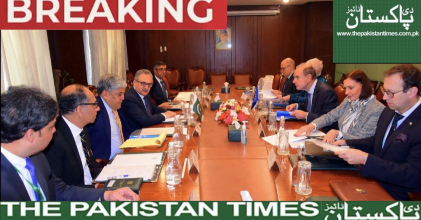 Ninth Political Roundtable between Pakistan and the EU