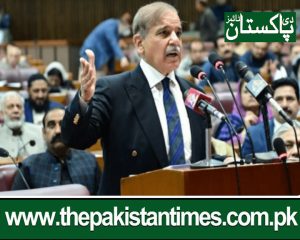 Shehbaz Sharif has been elected Prime Minister for the second time by a total of 201 votes
THE PAKISTAN TIMES