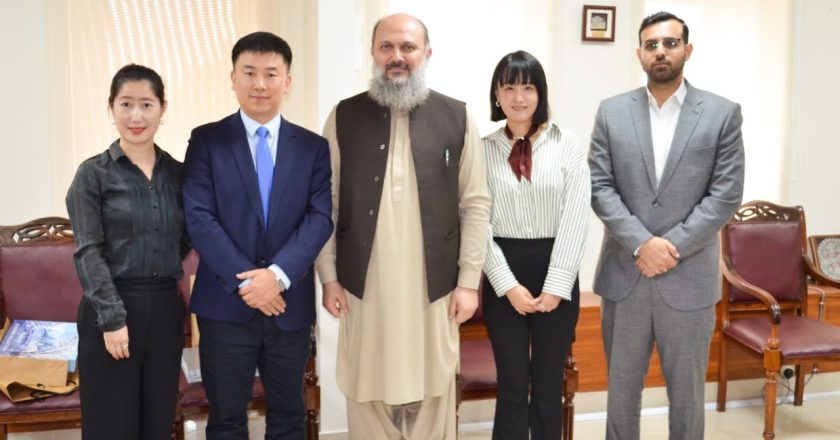 Alibaba Delegation Meets Jam Kamal Khan to Boost E-commerce