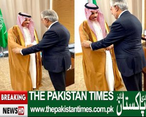  Deputy Prime Minister and Minister of Foreign Affairs, Senator Mohammad Ishaq Dar, held a bilateral meeting with His Royal Highness Prince Faisal bin Farhan Al Saud on the sidelines of the 15th meeting of the Muslim Council of the Organization of Islamic Cooperation in Banjul, Gambia, today. Deputy Prime Minister and Minister of Foreign Affairs and Minister of Foreign Affairs of Saudi Arabia noted the importance of long-standing economic and trade relations between Pakistan and Saudi Arabia and reiterated their decision to promote economic cooperation and investment from Saudi Arabia to further encourage it. in Pakistan. Deputy Prime Minister and Minister of Foreign Affairs praised "Vision 2030", which aims to transform the kingdom's social and economic conditions in the 21st century. He said that the visit of the Saudi Arabian Foreign Minister, who led a powerful delegation, to Pakistan showed a new strength in the economic cooperation between Pakistan and the Kingdom. Saudi Arabian Deputy Prime Minister and Minister of Foreign Affairs Dar and the Minister of Foreign Affairs expressed their deep concern about the recent events in the Middle East and called for an immediate end to Gaza. They also emphasized the important role of the Organization of Islamic Cooperation (OIC) in matters affecting the Muslim ummah, including what is happening in Palestine and Kashmir. The PAkistan Times 