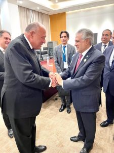 Meeting between the Deputy Prime Minister and Foreign Minister and Foreign Minister of Egypt the pakistan times 