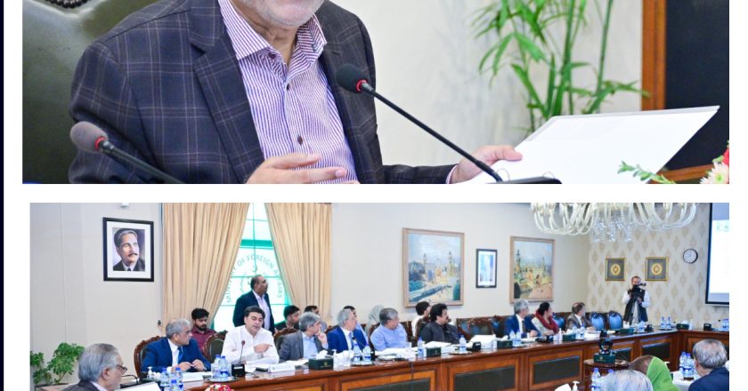 Deputy Prime Minister Chairs the Second Meeting on Medical Education