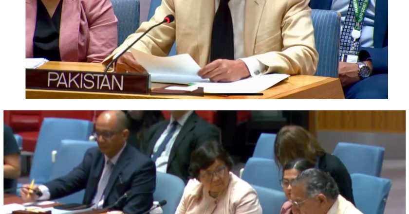 At UNSC Meeting, Pakistan Calls for Decisive Action Against Terrorism in Afghanistan