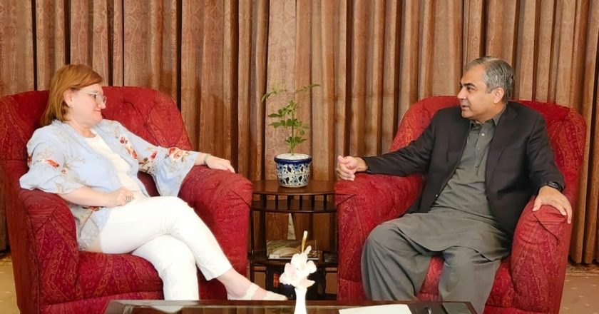 Interior Mohsin Naqvi Meets Italian Ambassador Mirelena Armlini