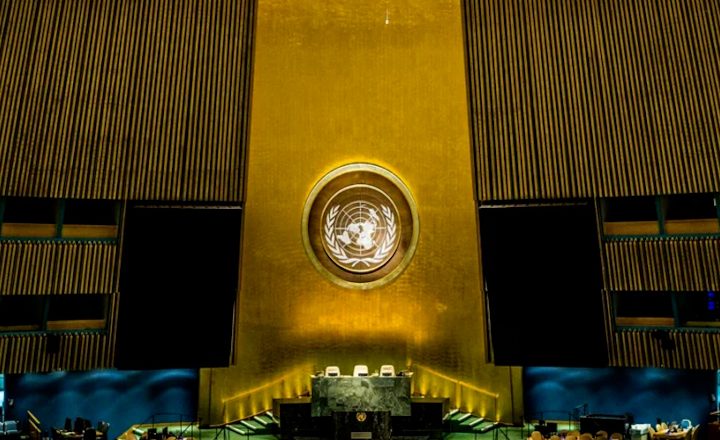 UNGA moves UNSC reform talks to its 79th session, Pakistan urges push for narrowing differences