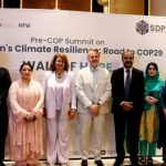 Pakistan needs to focus climate diplomacy respecting regional norms, values: Romina Khurshid