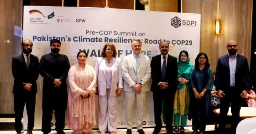 Pakistan needs to focus climate diplomacy respecting regional norms, values: Romina Khurshid