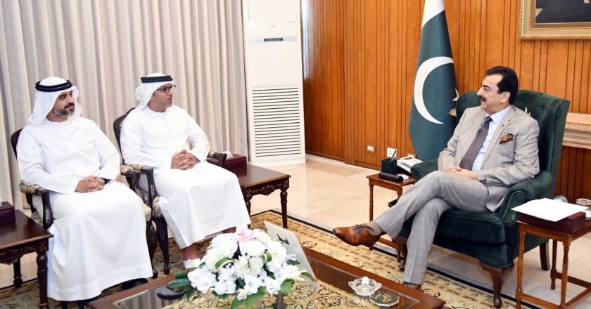 Acting President calls for promoting cooperation with UAE