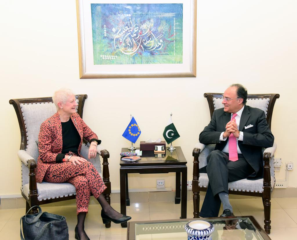 EU Ambassador Dr. Riina Kionka Calls on Finance and Revenue Minister Senator Muhammad Aurangzeb
