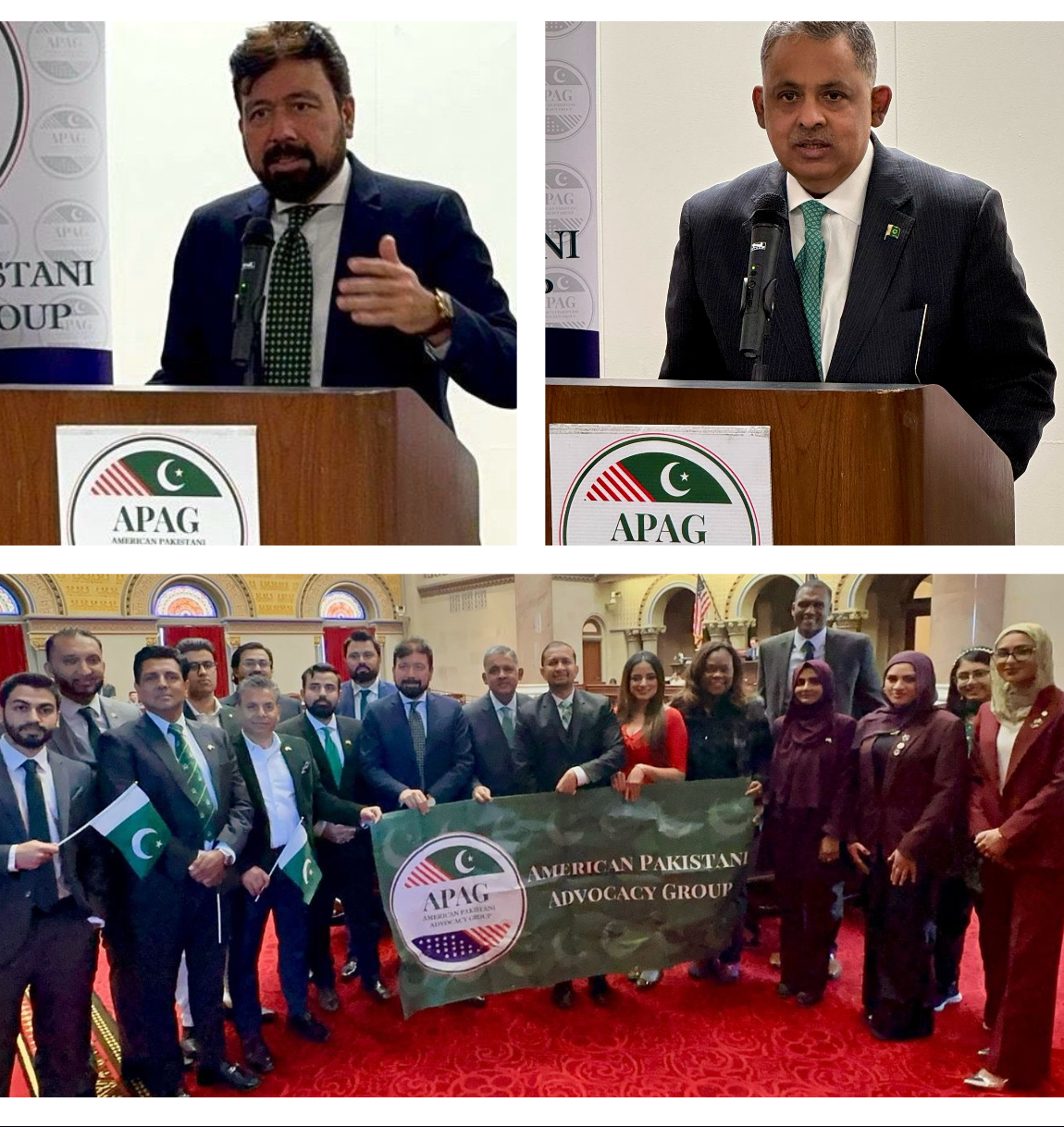 https://thepakistantimes.com.pk/new-york-state-assembly-and-senate-adopt-historic-resolutions-honoring-pakistani-americans/ The pakistan Times