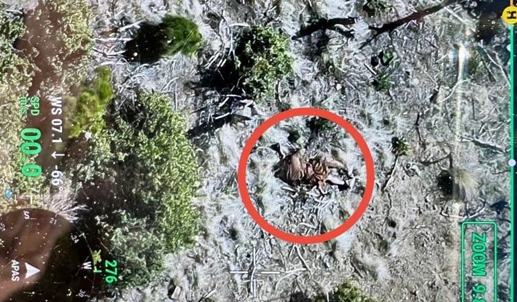Movement of a large group of khwarij, who were trying to infiltrate through Pakistan-Afghanistan border, was detected by the security forces in general area Hassan Khel