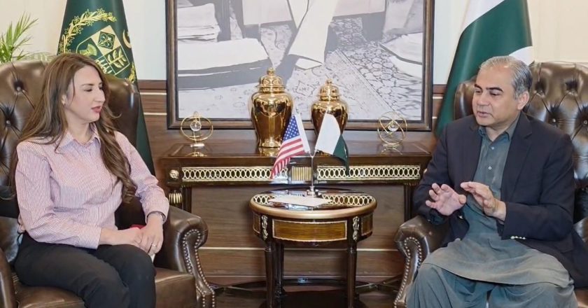 Important meeting between Acting US Ambassador Natalie Baker and Federal Interior Minister Mohsin Naqvi