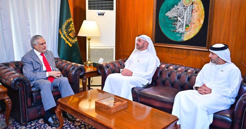 High-level UAE delegation meeting with Deputy Prime Minister/Foreign Minister of Pakistan