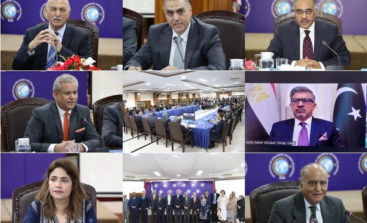 ISSI hosts event commemorating Egypt’s ‘Revolution Day’