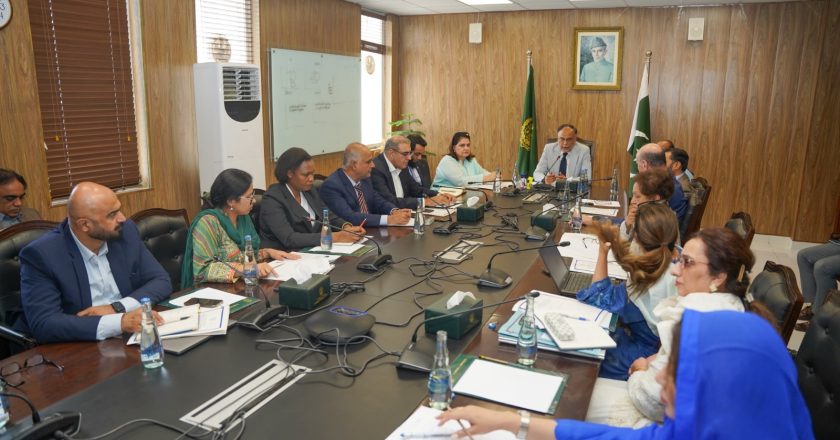 Karachi Industrial Park (KIP) should offer community life and facilities, combining life, leisure, and work: Ahsan Iqbal
