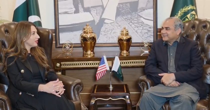 Interior Minister Mohsin Naqvi Meeting with U.S. Acting Ambassador Discussed Bilateral Cooperation