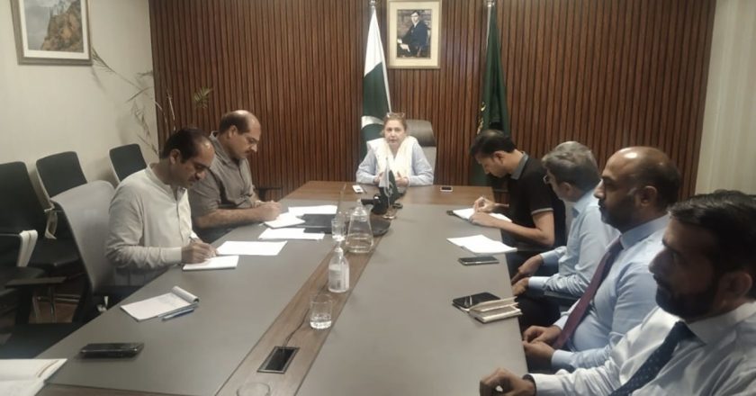 Banking industry’s role highlighted for fast-tracking EV transition in Pakistan