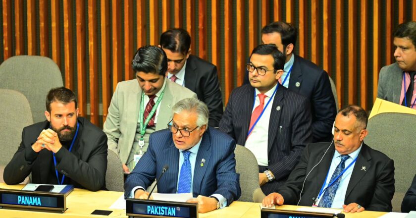 Pakistan Appreciates Iraq’s Leadership and Calls for United Action on Global Development Challenges