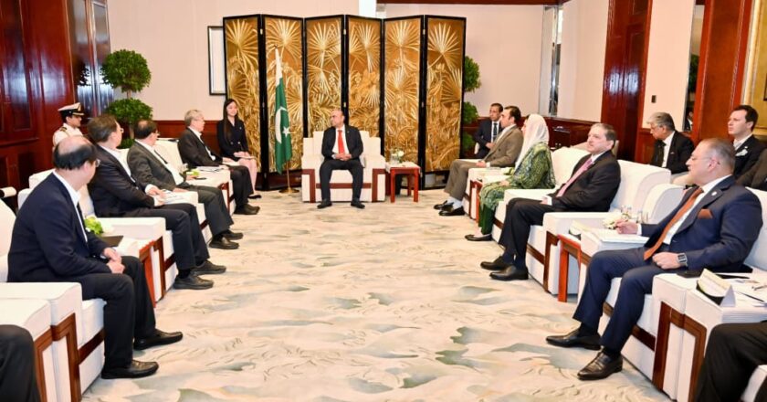 President Zardari meets Chairman of Chery Holding in Shanghai