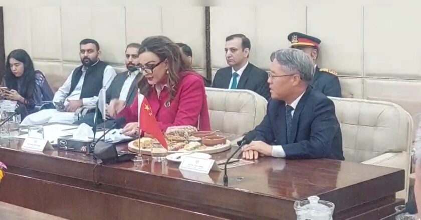 Pak-China Parliamentary Friendship Group met with a Pakistani delegation at the Parliament House