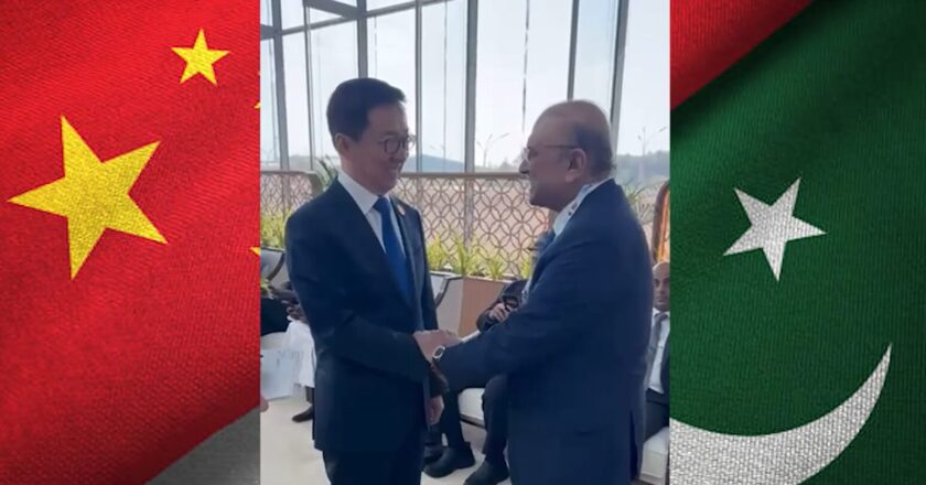 President of Pakistan Asif Ali Zardari meets Vice President of China