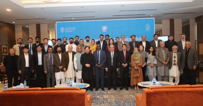 Pakistan Launches First Domestic Tea Commercialization Strategy to Transform National Tea Industry