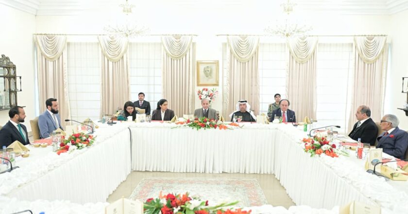 Prime Minister Meets Delegation of UAE’s Renowned Sajwani Group