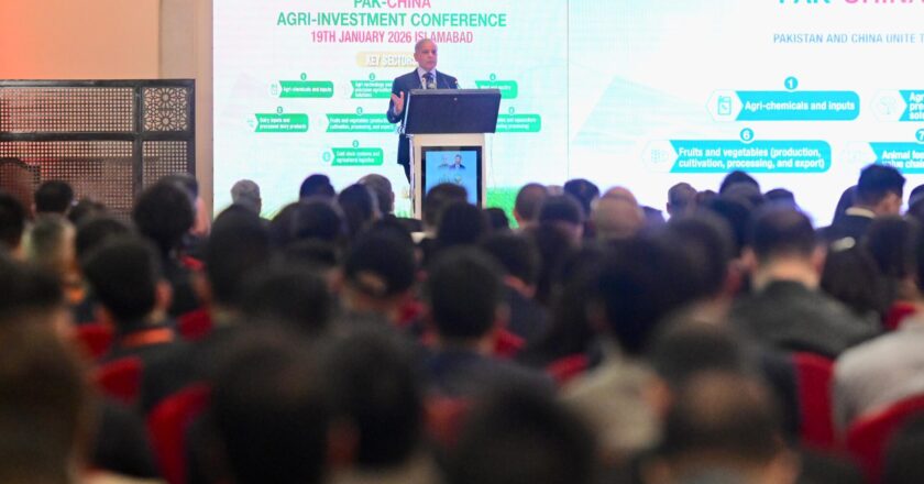 پاکستان چین کے تجربات اور مہارت سے استفادہ کرکے سالوں میں نہیں مہینوں میں کمال کر سکتا ہے