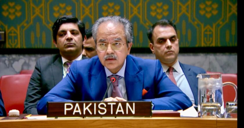 سلامتی کونسل میں پاکستان کا مؤقف: فلسطین میں تشدد کا خاتمہ اور دو ریاستی حل ہی پائیدار امن کی ضمانت