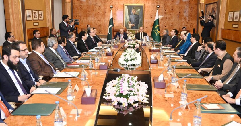President Zardari Chairs High-Level Consultative Meeting on Economy, Energy, and Regional Situation