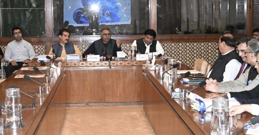 سینیٹ کی قائمہ کمیٹی برائے داخلہ و انسدادِ منشیات کی ذیلی کمیٹی کا اسمگلنگ، ٹیکس چوری اور قومی محصولات میں کمی پر تشویش کا اظہار۔