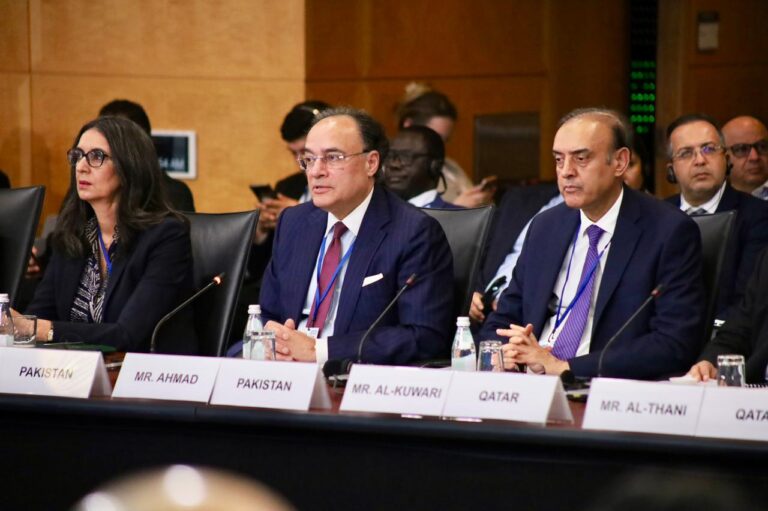 Finance Minister Highlights Policy Response to Global Shocks at IMF MENAP Meeting