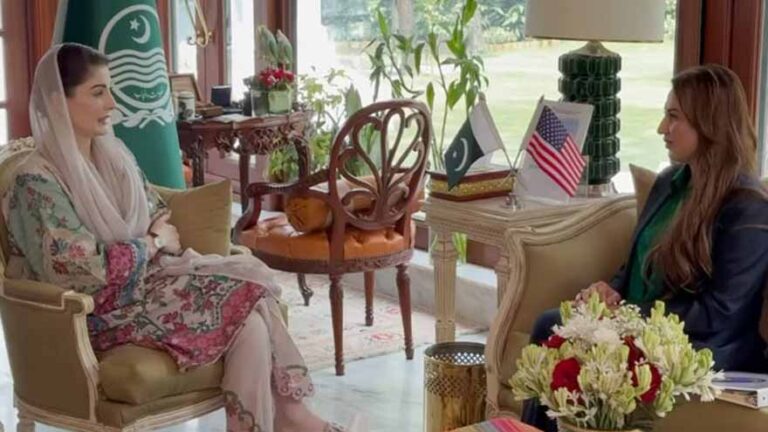CM Punjab, US Envoy Discuss Cooperation in Security and Investment