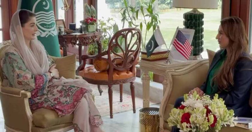 CM Punjab, US Envoy Discuss Cooperation in Security and Investment