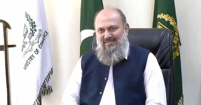 Pakistan, Belarus Agree to Expand Economic and Trade Cooperation