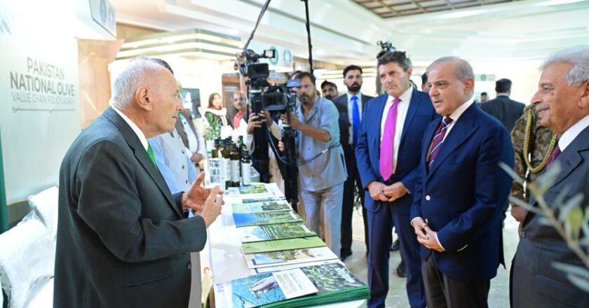 PM Shehbaz Launches Pakistan National Olive Value Chain Policy