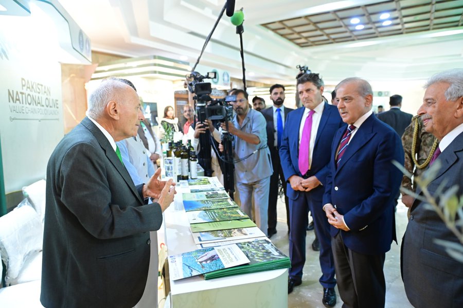 PM Shehbaz Launches Pakistan National Olive Value Chain Policy