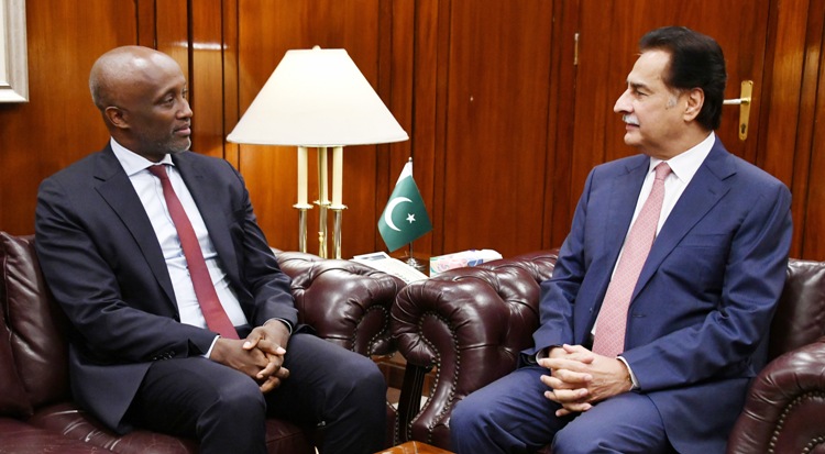 UN Resident Coordinator Muhammad Yahya Calls on NA Speaker Ayaz Sadiq