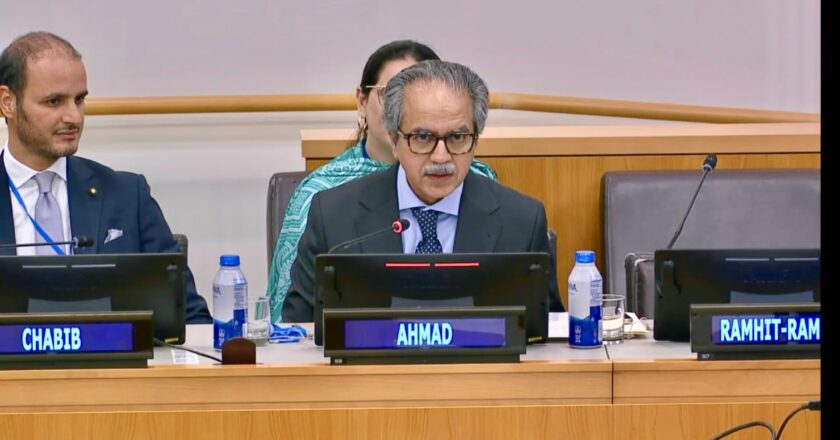 پاکستان نے نوجوانوں پر امن کے فروغ اور کثیرالجہتی نظام کے استحکام میں قائدانہ کردار ادا کرنے پر زور دیا